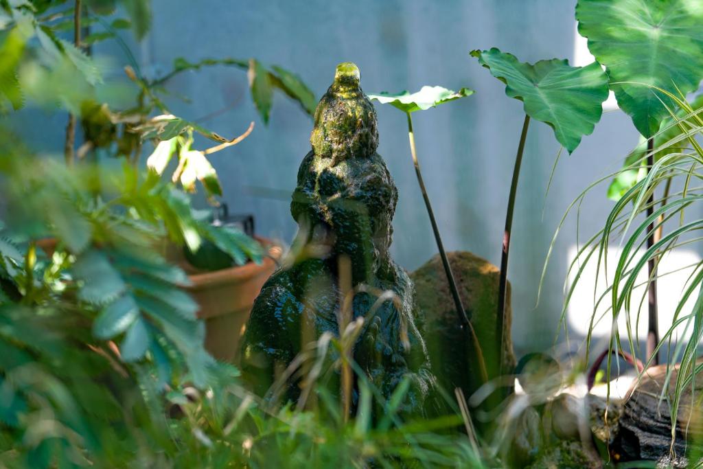 Serenity Guest House photo 3