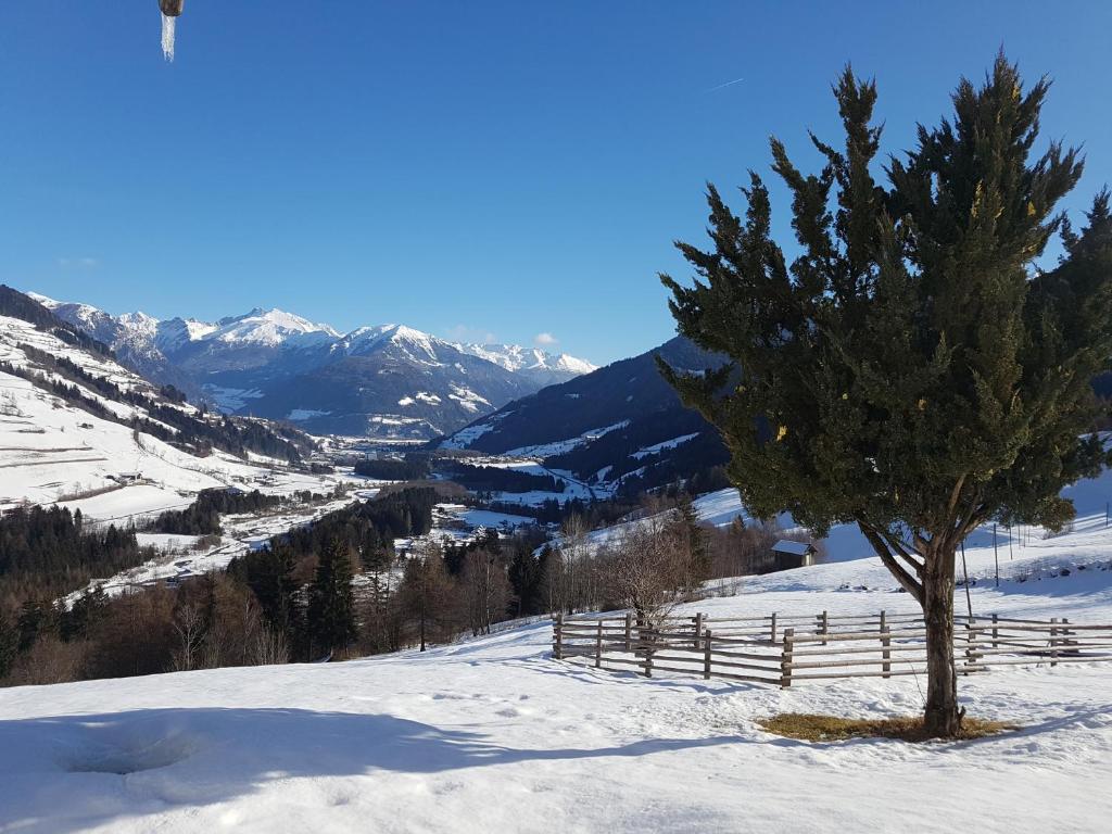 Volggerhof photo 2