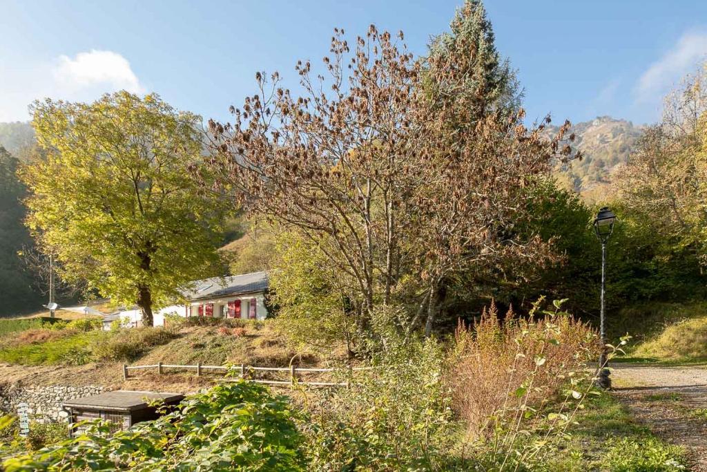 Comfortable farm house Petit Barzun, in the Parc National Pyrenees photo 1