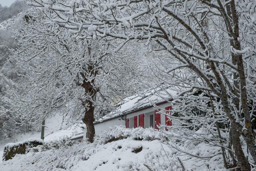 Comfortable farm house Petit Barzun, in the Parc National Pyrenees photo 4