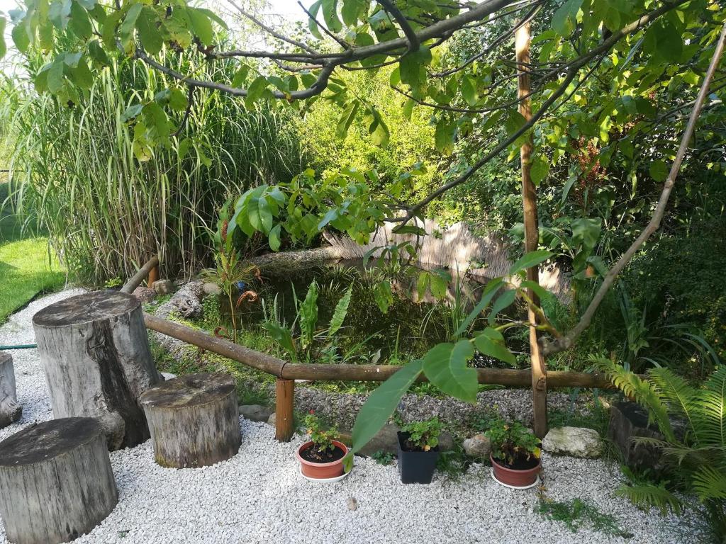 Zagroda Podlas - gospodarstwo agroturystyczne photo 1