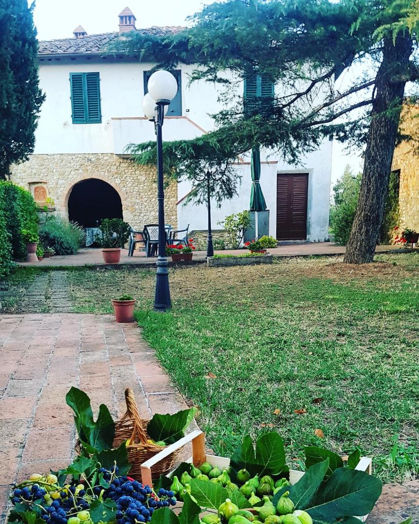 Agriturismo Sant'Ellero Casa Bianca photo 3