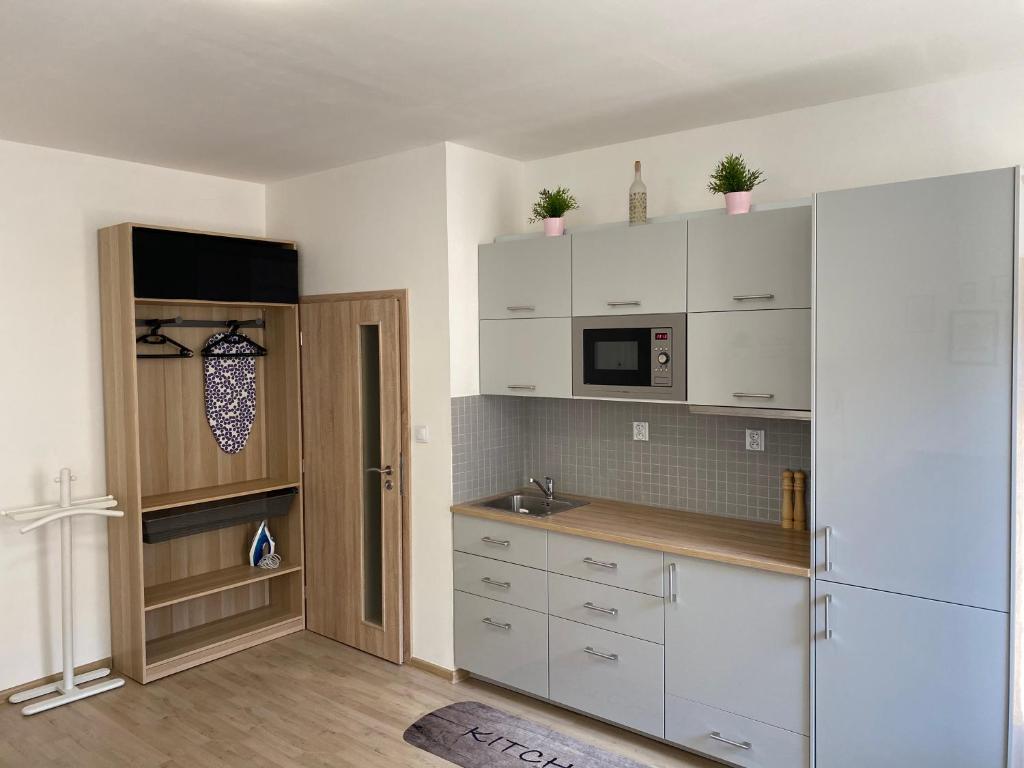 SATYS Apartments photo 4