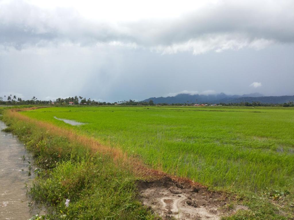 villa tempoyak homestay photo 2