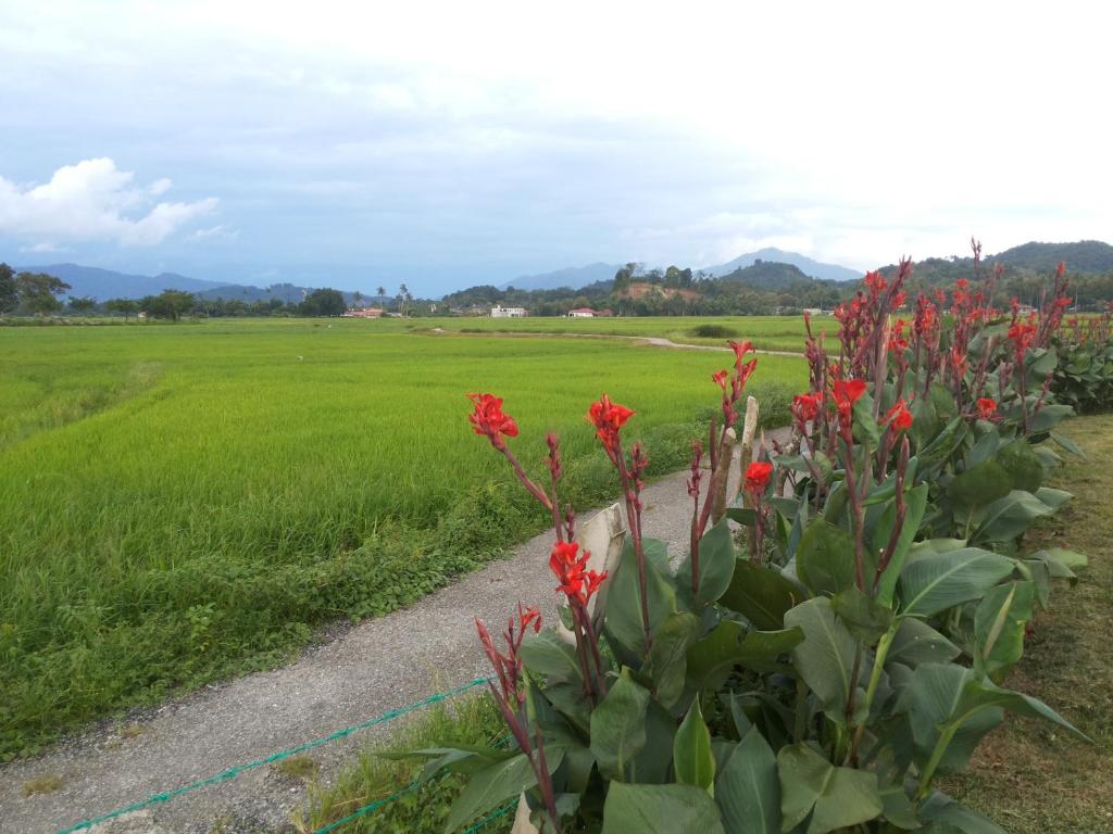 villa tempoyak homestay photo 1
