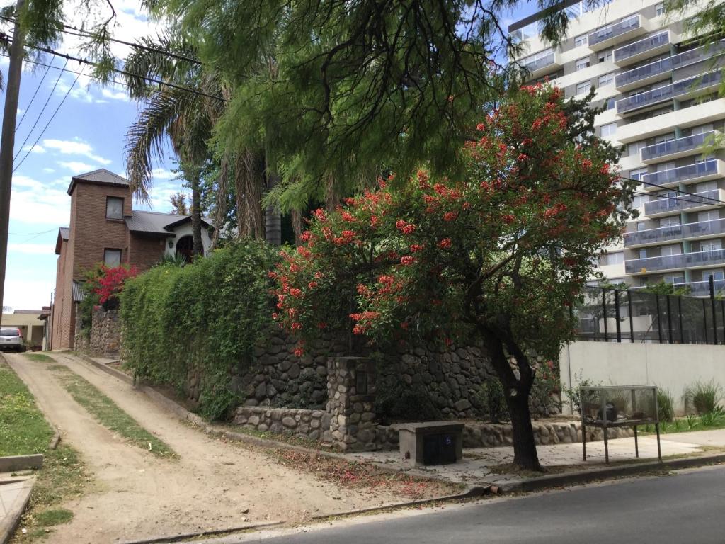 RIO y VERDE photo 1