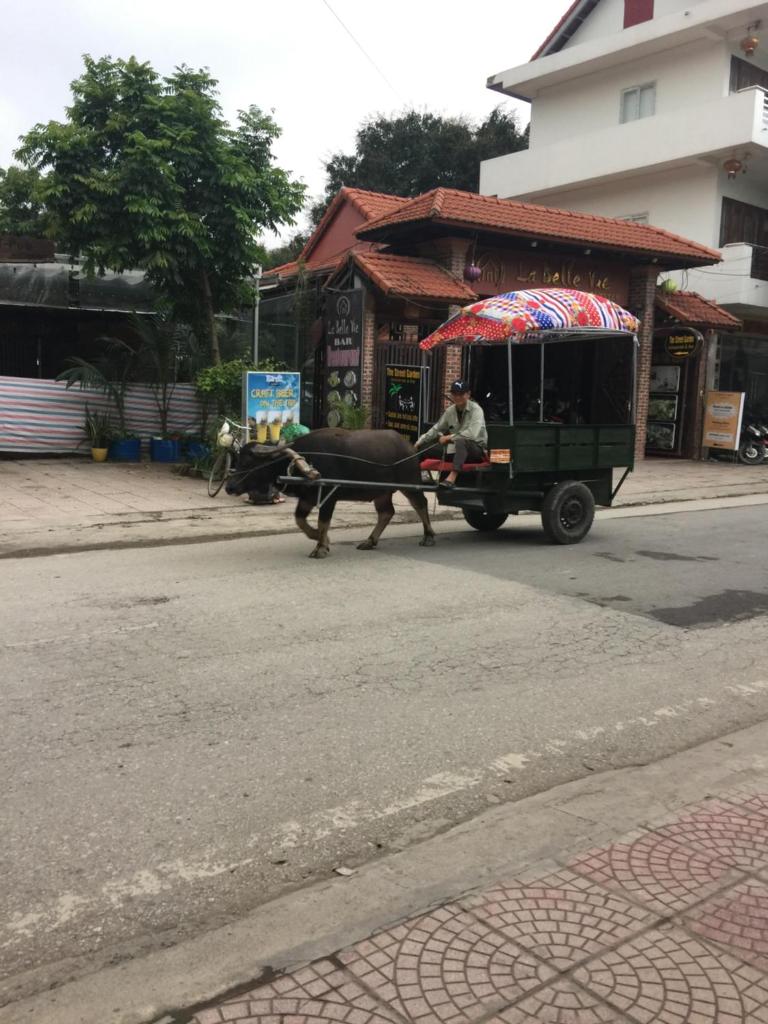 Tam Coc Family Friendly Homestay