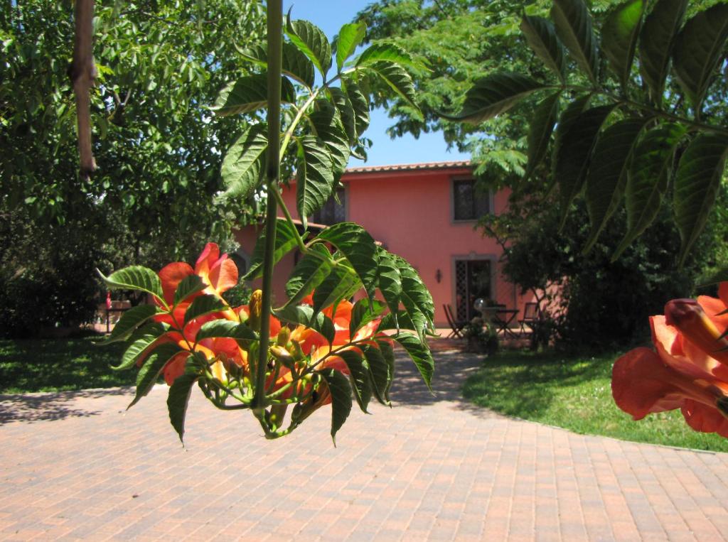 B&B Ai Glicini - Castelli Romani photo 4