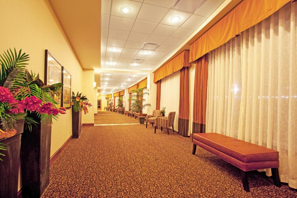 Holiday Inn Battle Creek, an IHG Hotel photo 3