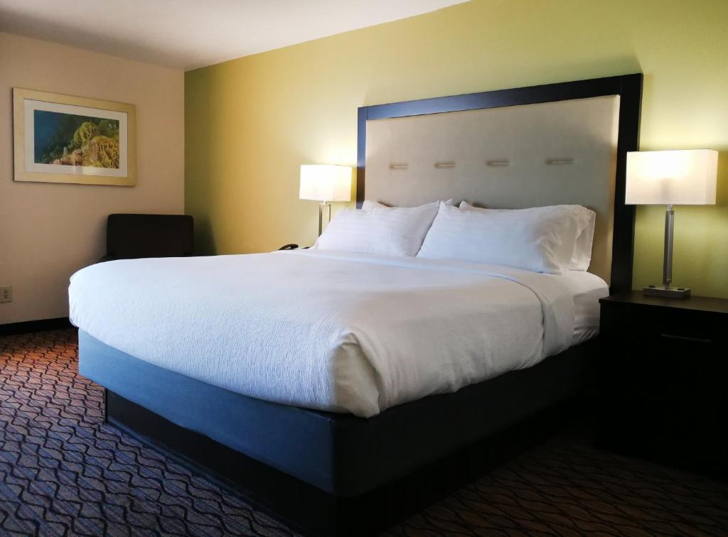 Holiday Inn CORPUS CHRISTI DOWNTOWN MARINA Room Type - Standard King Room with Bay View 