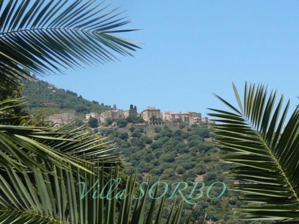 Villa Sorbo photo 4