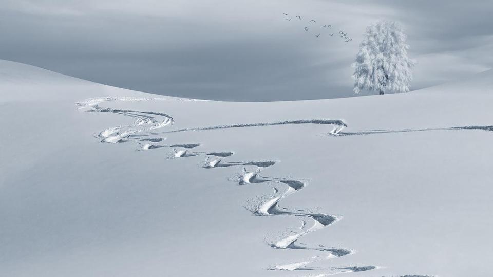 Hunter's Lodge photo 1