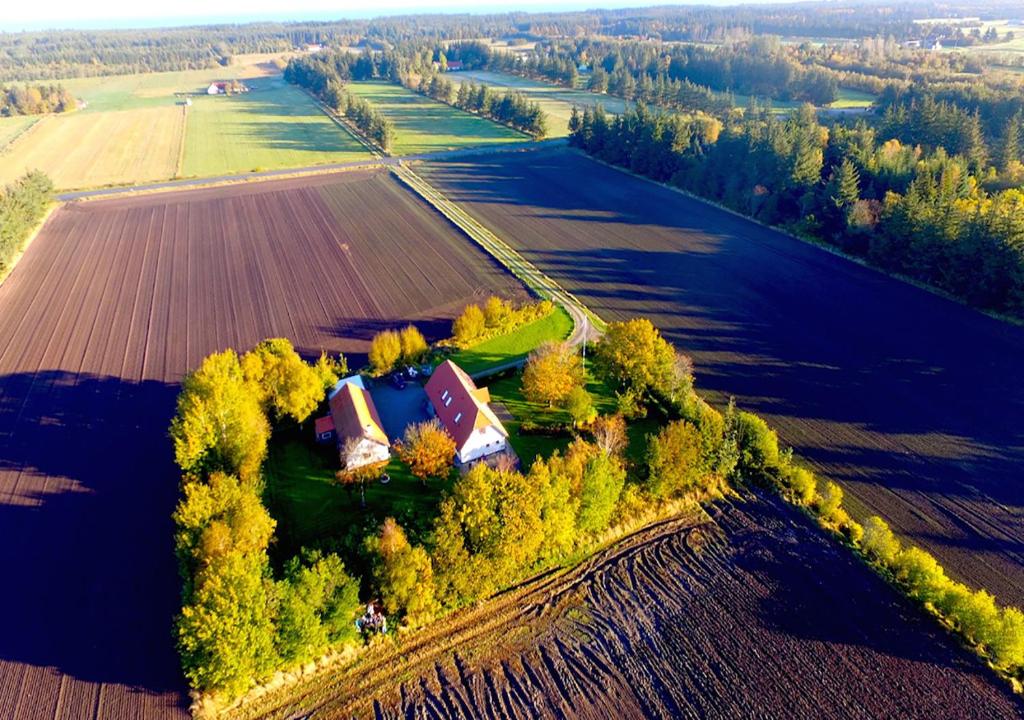 Fuglsang Bed & Breakfast photo 2