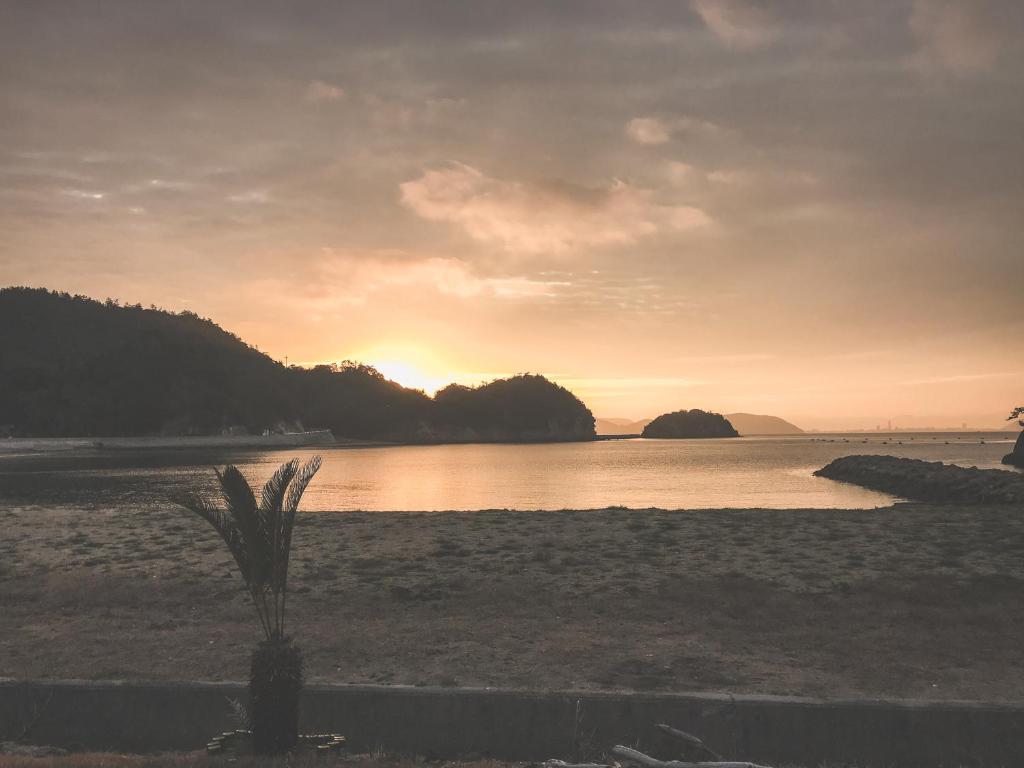 sana mane photo 4