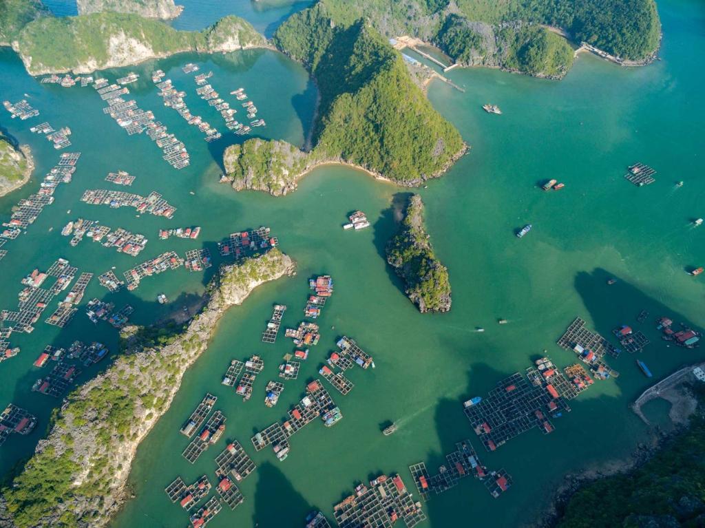 Cat Ba Ocean View Hotel