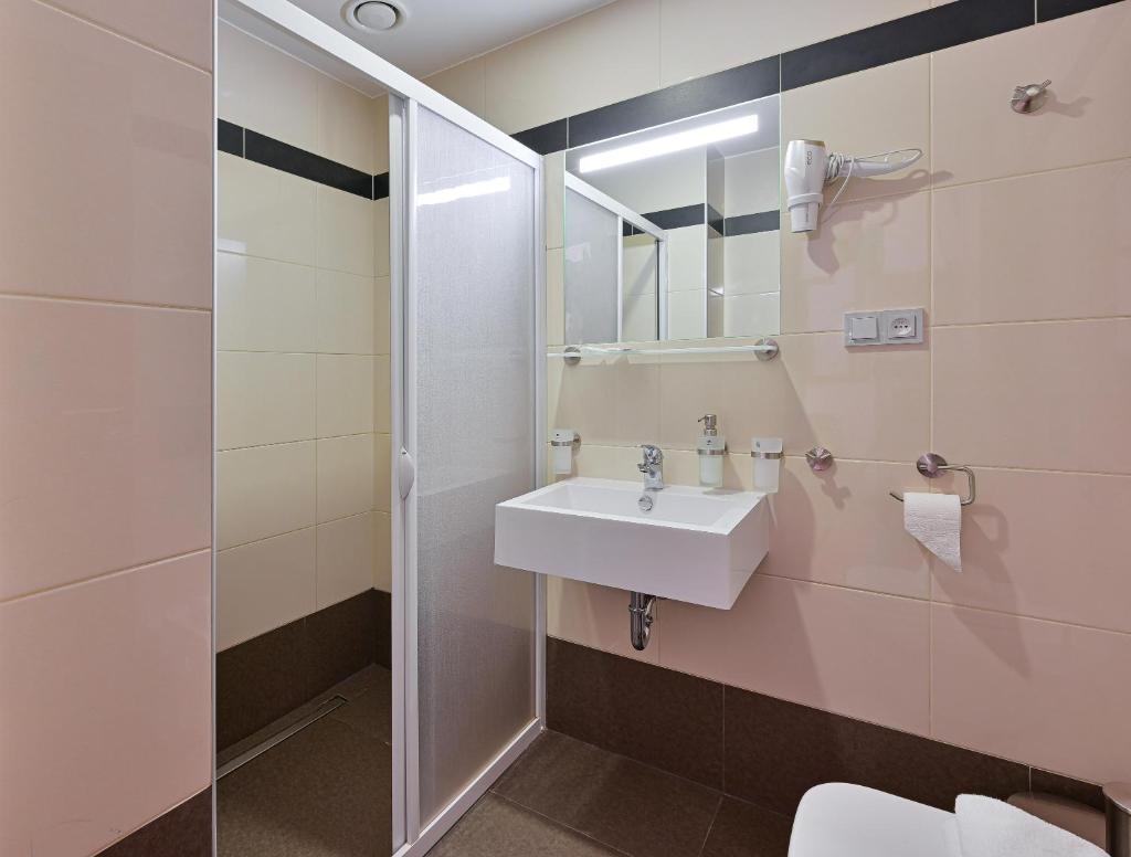 Двухместный (Двухместный номер эконом-класса с 1 кроватью), Hotel Prague Star