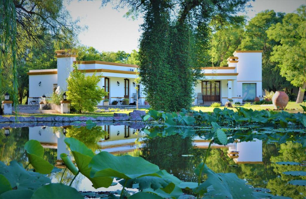 Estancia del Olivo photo 2
