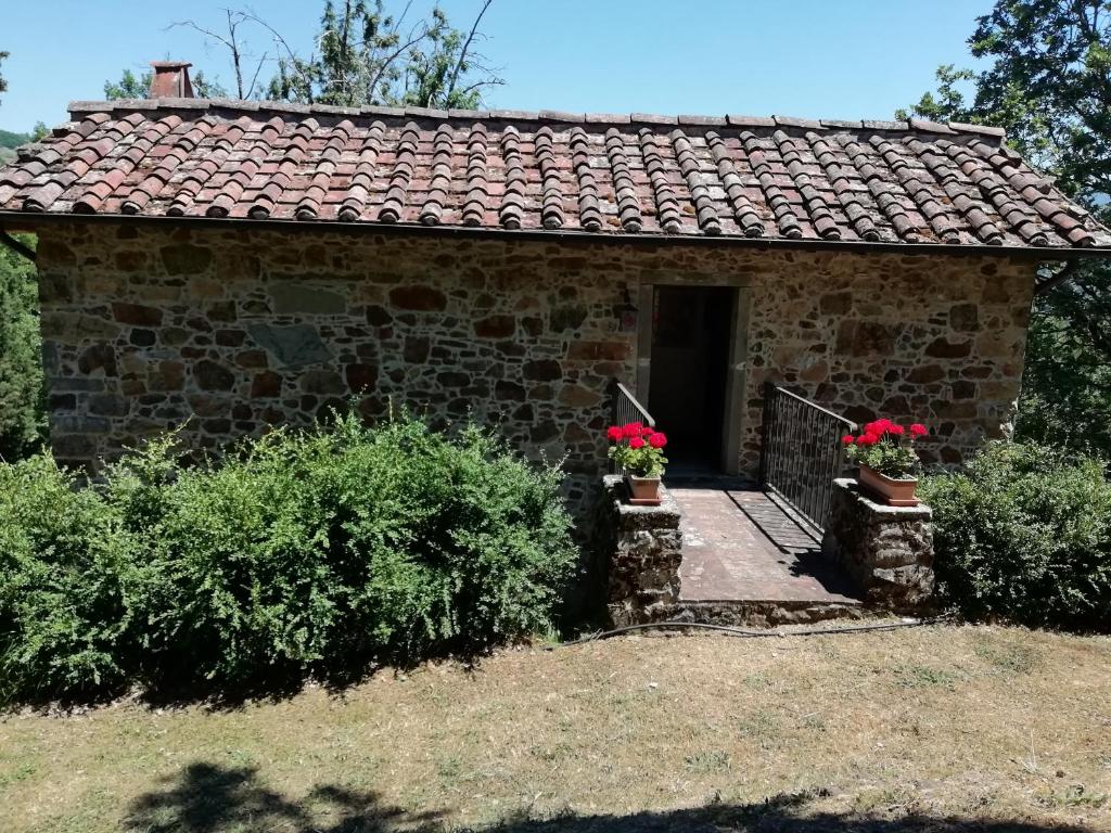 Vignoli photo 3
