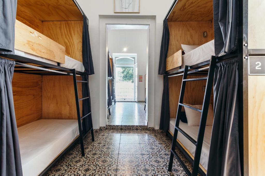 Номер (Односпальная кровать в общем номере для мужчин и женщин), CASA MX Alameda