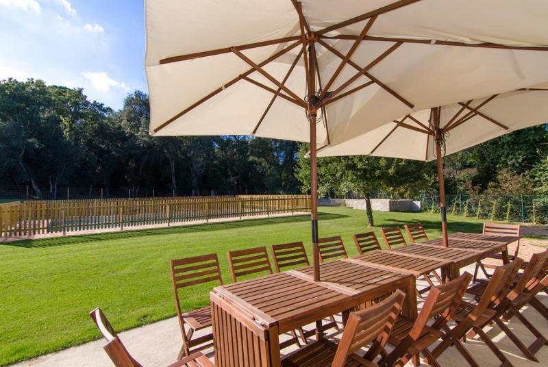 Club Villamar - Maria Saris photo 4