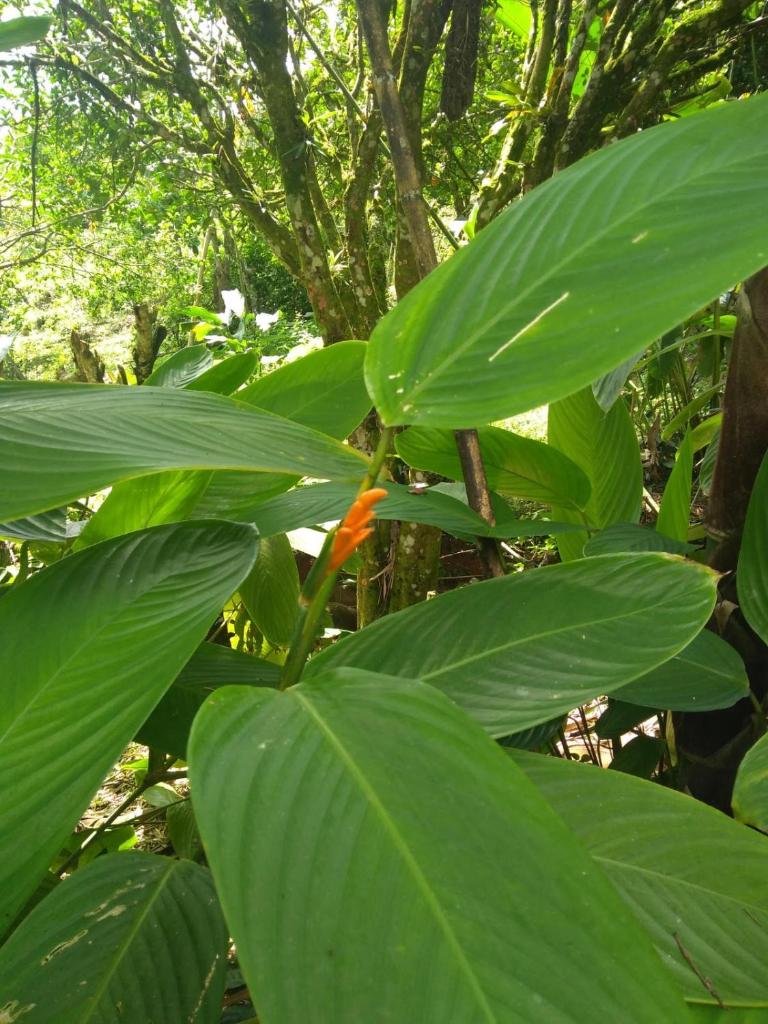 Finca Colibrí Zafiro, Altos del Rosario photo 2