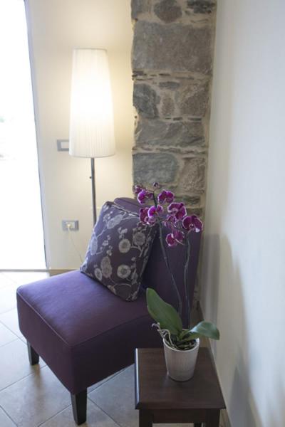 Calathea B&B photo 1