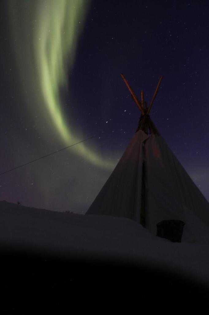 Lofoten Camp photo 4