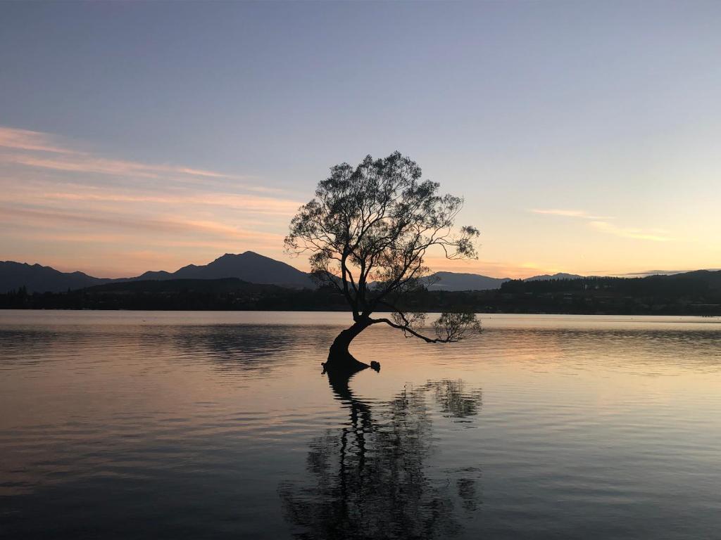 Tempest on Wanaka photo 4