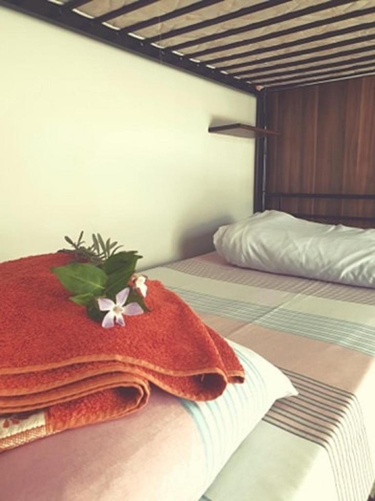 Boho Hostel photo 4