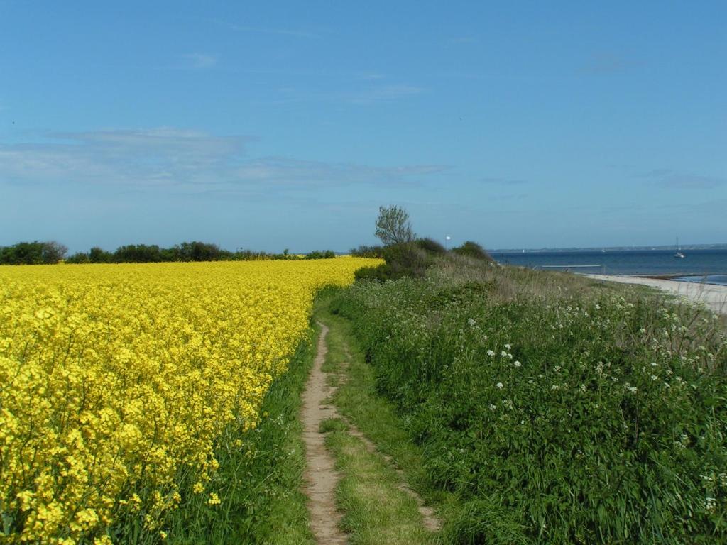 Landurlaub Regenholz photo 1