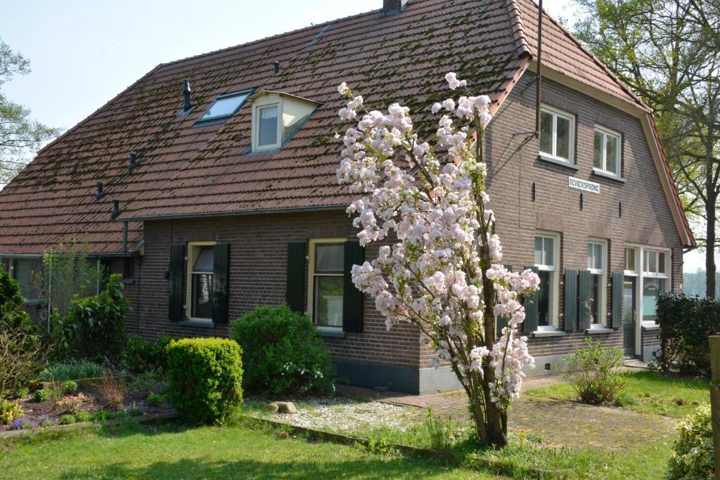 De Viersprong photo 1