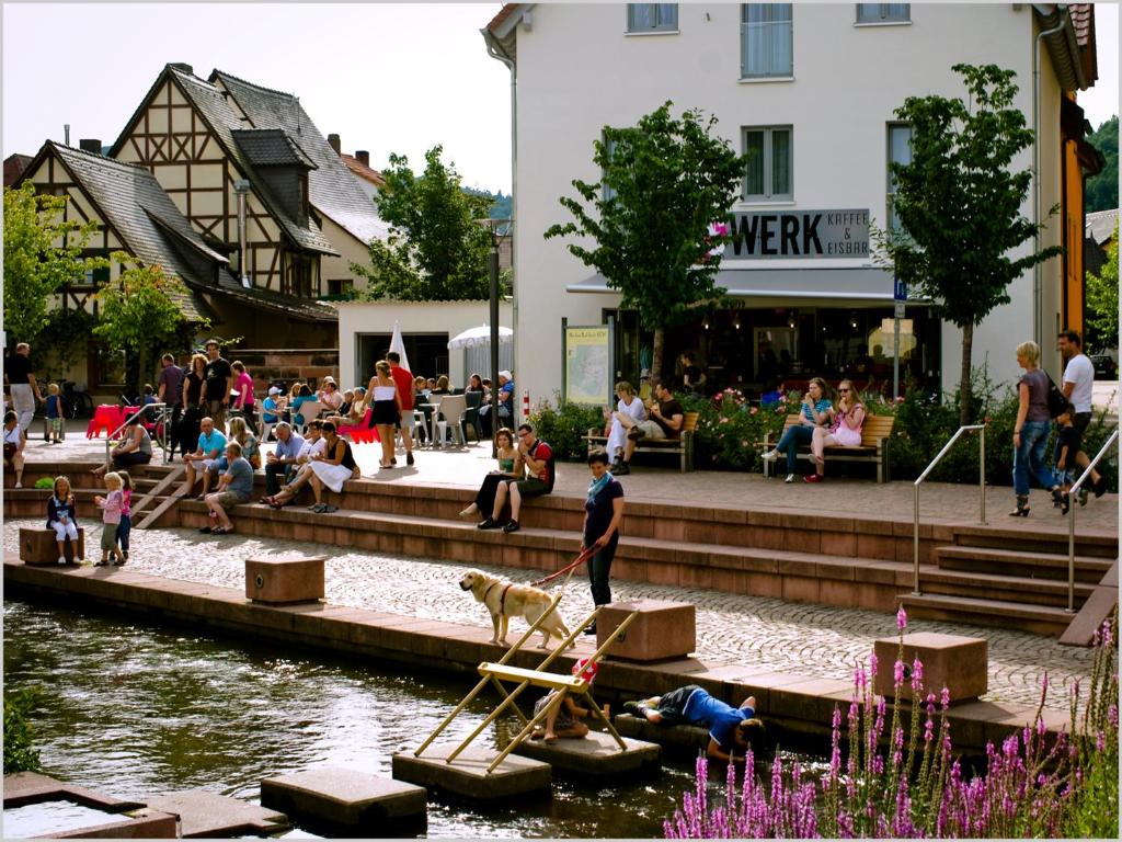 Gästehaus Eschers Eiswerk photo 4