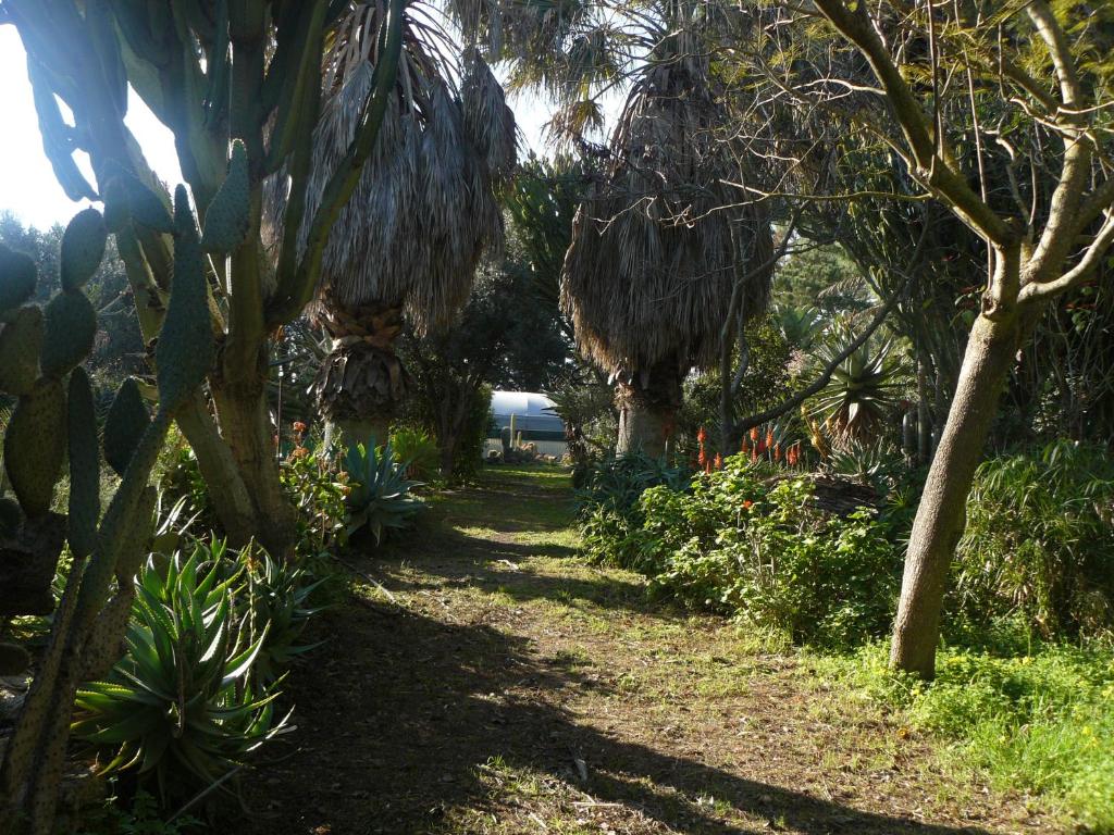 Casa vacanza nella riserva naturale del Belice - Tap to explore photos
