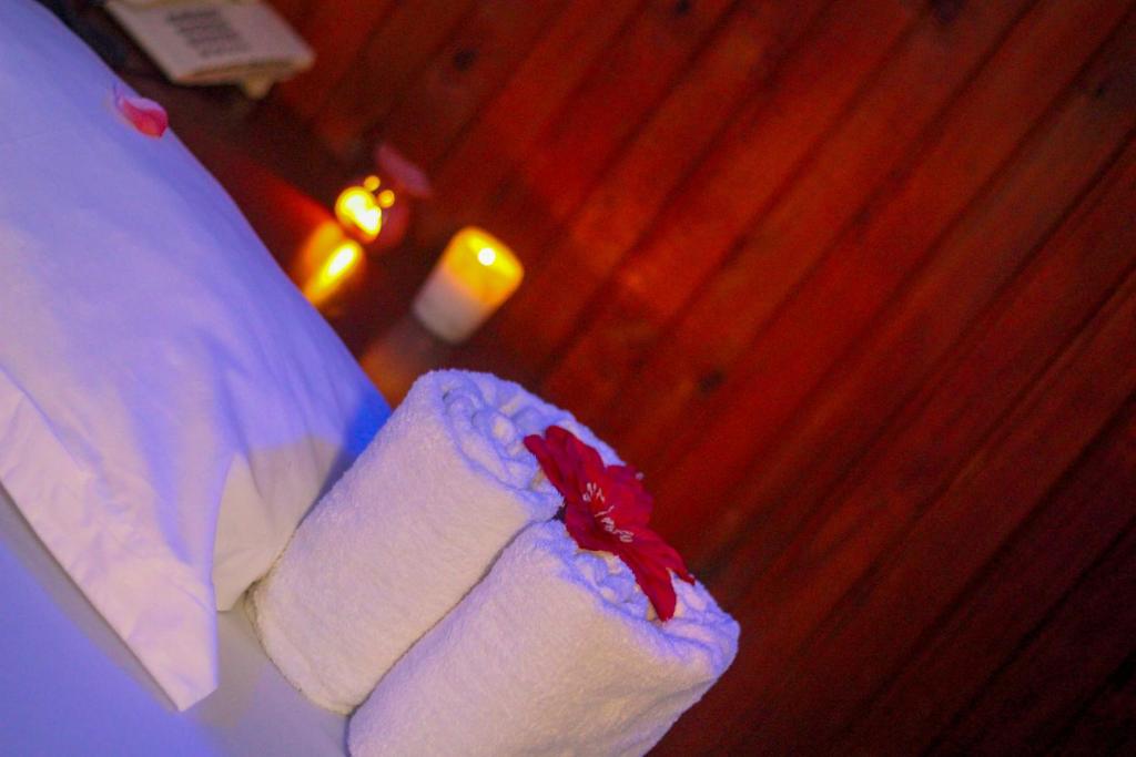 New Hotel Aquiline photo 1