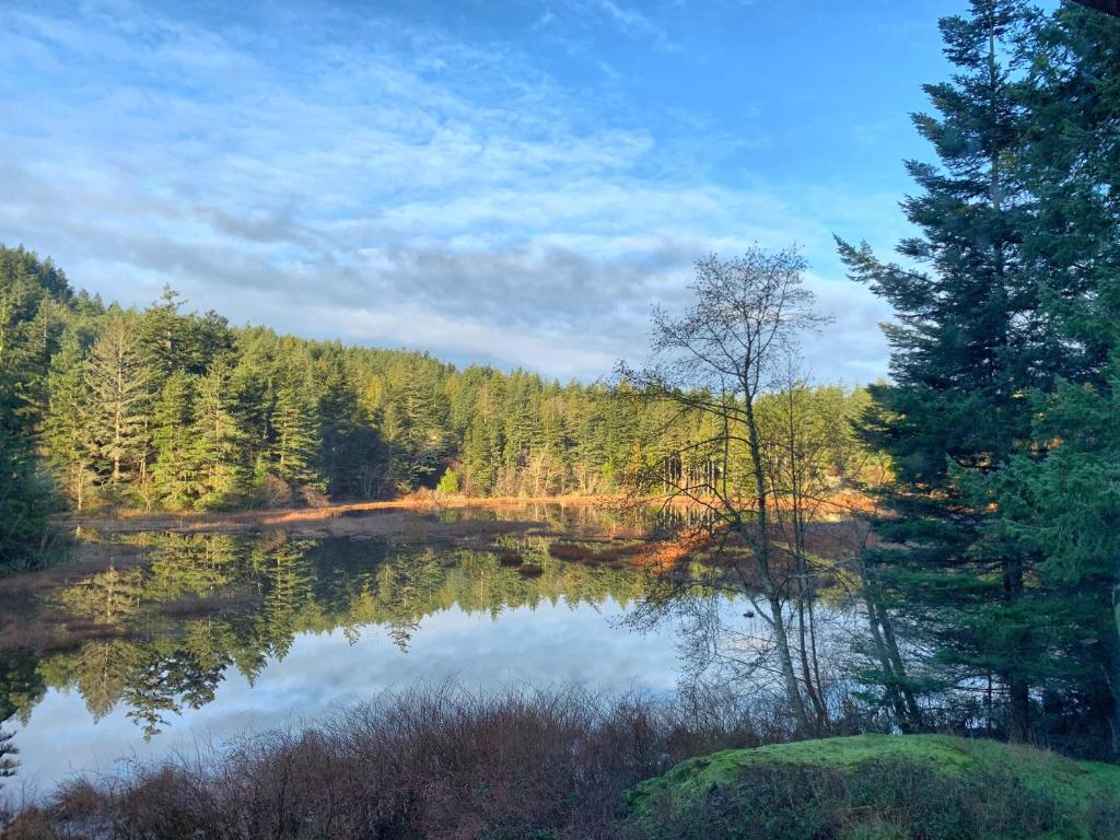 Otters Pond Bed & Breakfast image