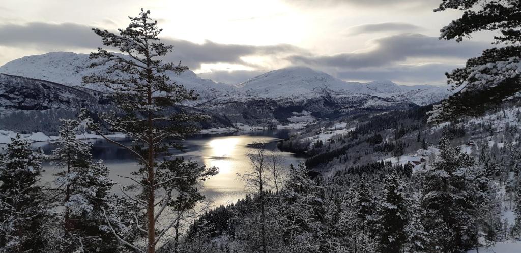 Haukedalen Feriehus photo 3