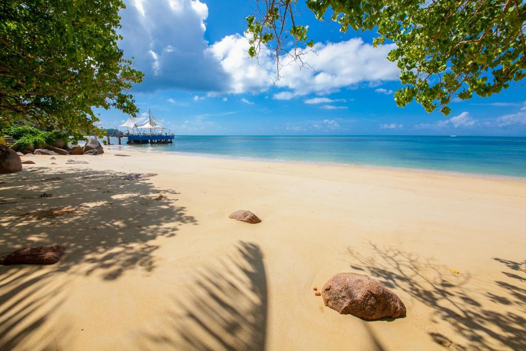 Coco de Mer Hotel and Black Parrot Suites photo 2