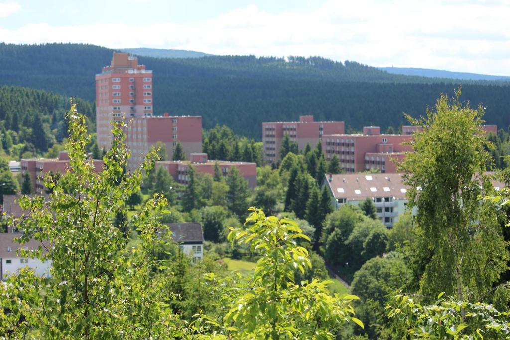 Ferienwohnung Sonnenblick photo 4