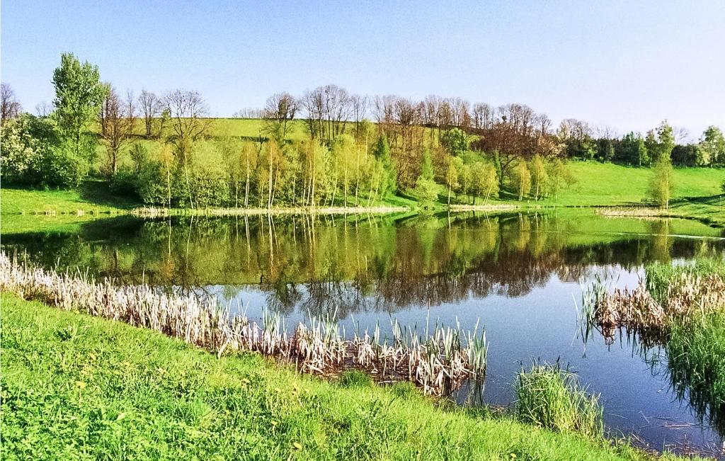 Amazing Home In Olbernhau With 2 Bedrooms And Wifi photo 1