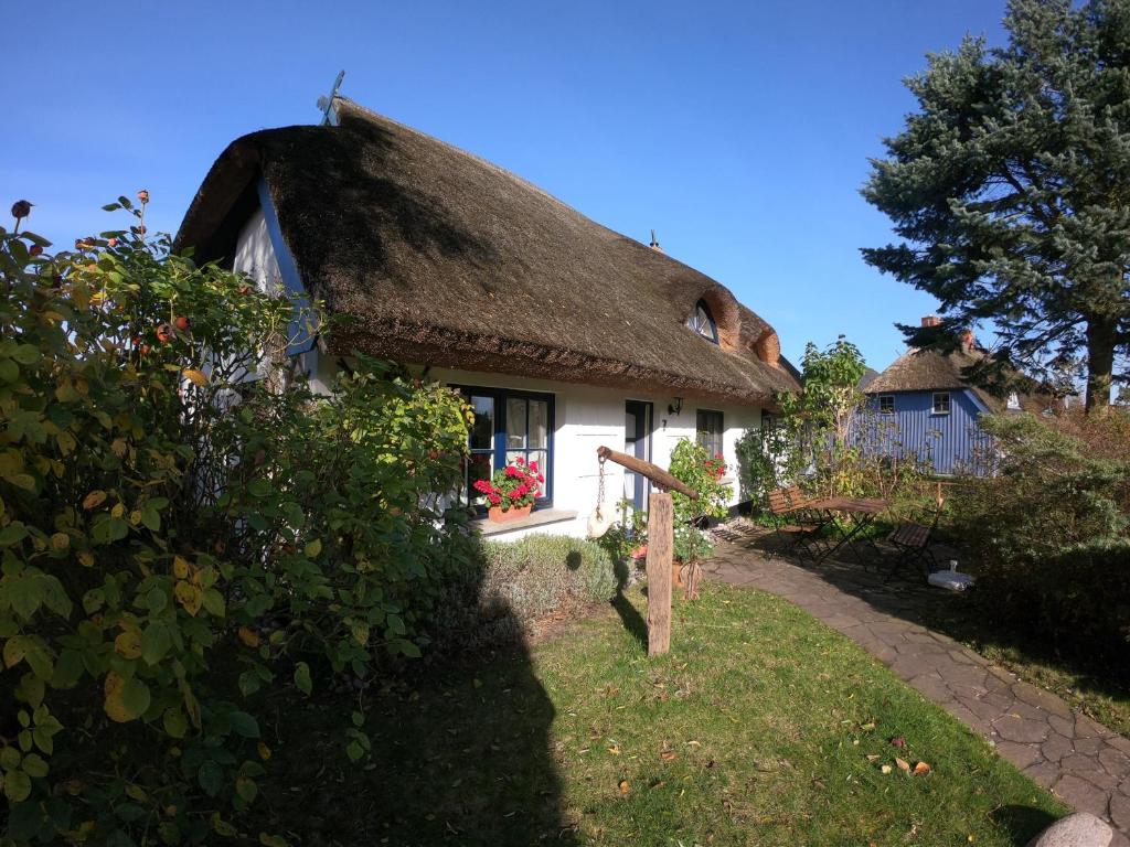 Landhaus Darss photo 2