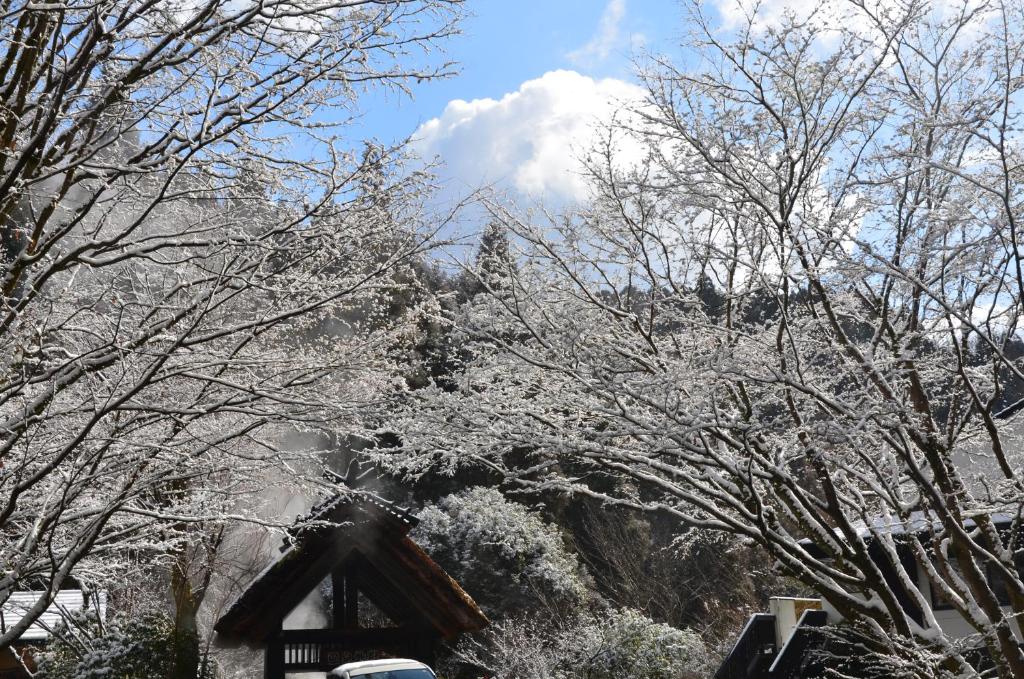 Kurokawa Onsen Oku no Yu photo 2