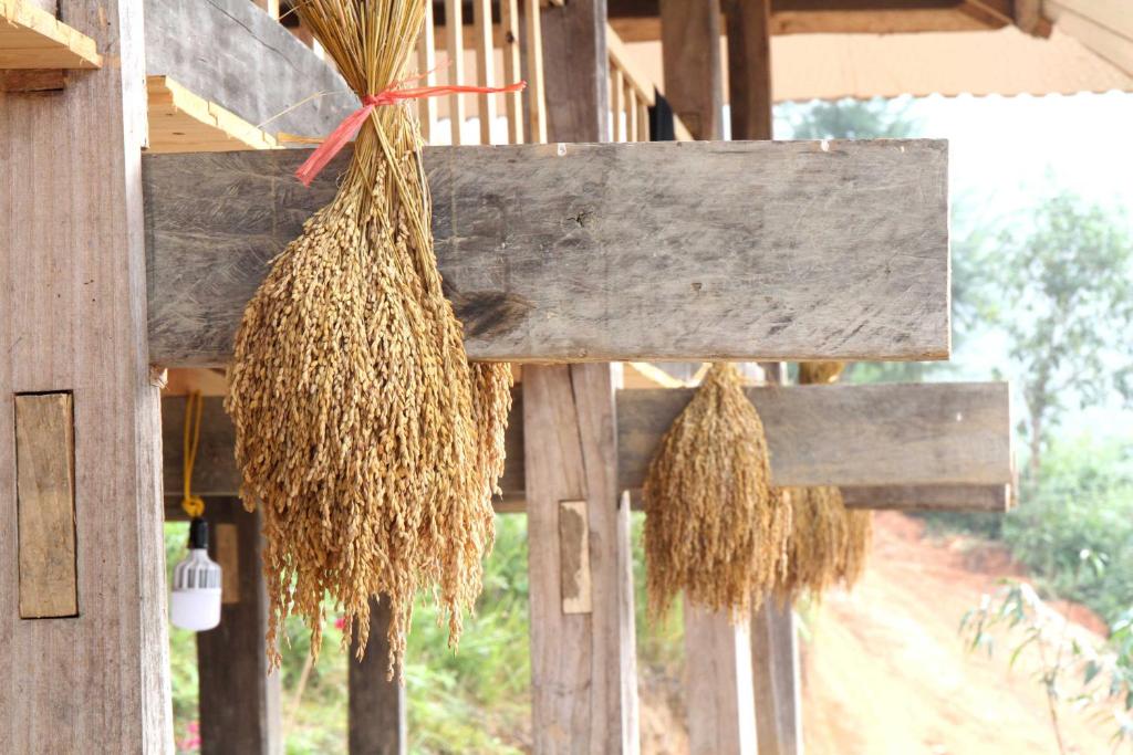 Nậm Lỳ Homestay- Meals included