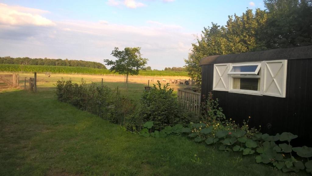 Pipowagen Lidewei Groningen Westerwolde unieke ligging met eigen tuin en vrij uitzicht over veld naar natuurgebied photo 1