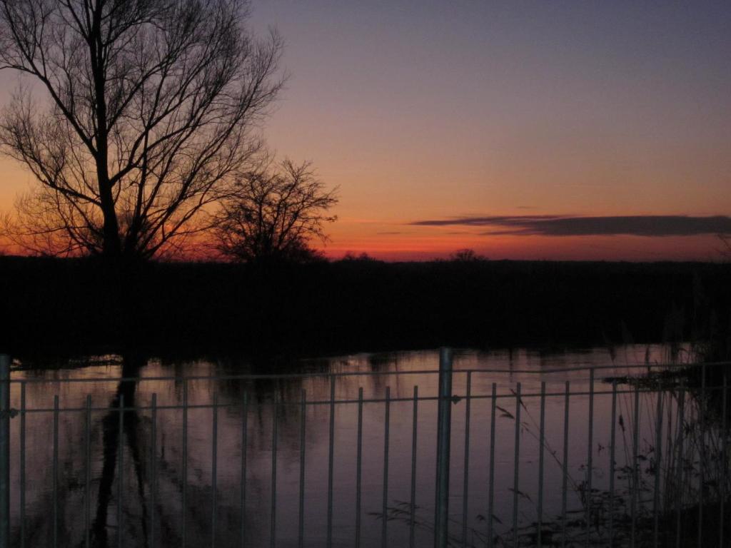 Pension "Zum Schwan" photo 2