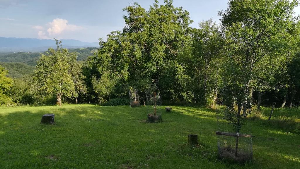 Barbara`s Village House photo 4