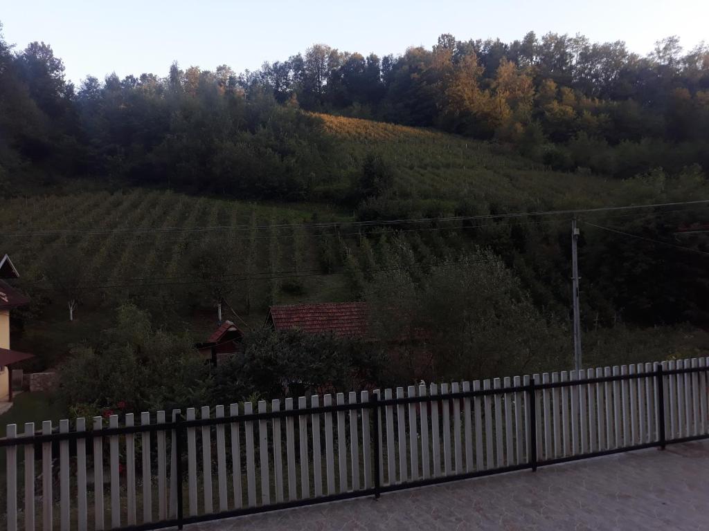 Guesthouse Stanojevic photo 2