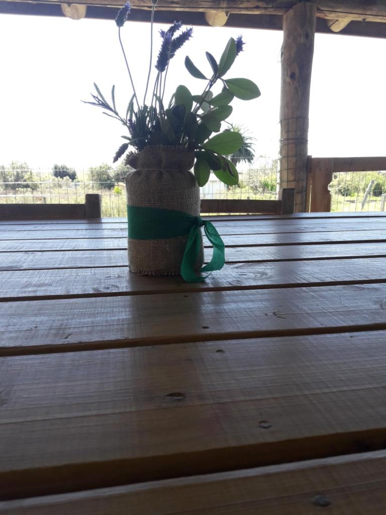 La Casita photo 4