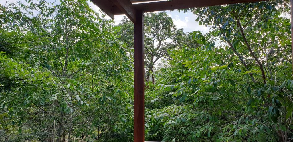 Maya Hill Lodge photo 3