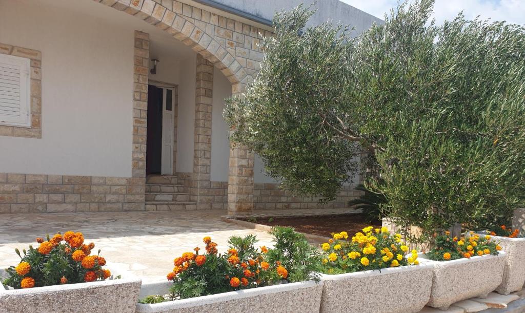 Villa Senka photo 1