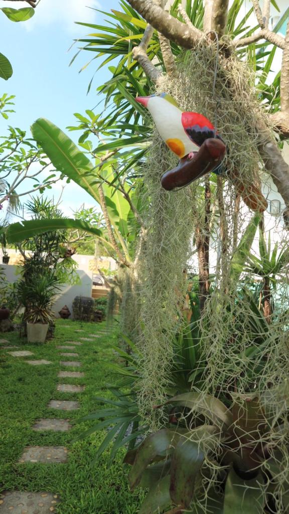The Tree Samui photo 3